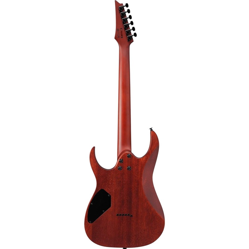 Đàn Guitar Điện Ibanez GRG121PAR HH 