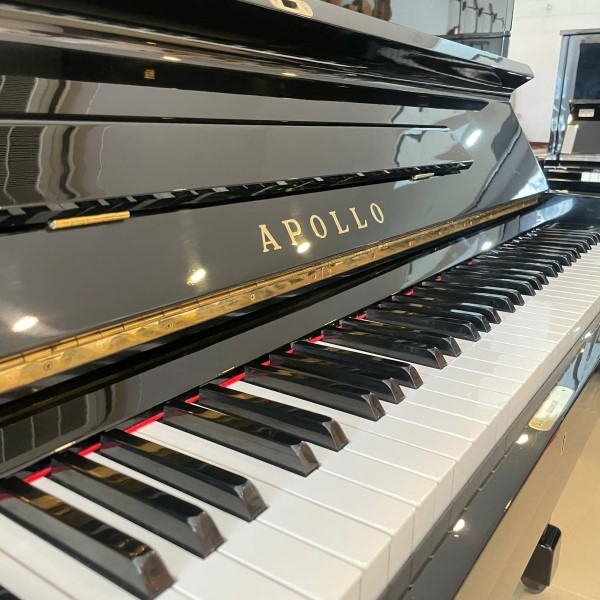  ĐÀN PIANO APOLLO A6 